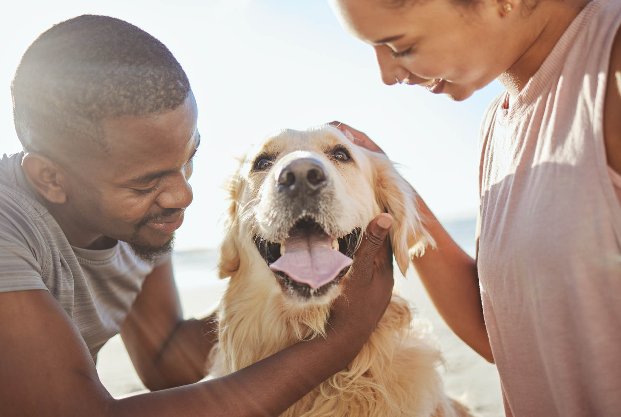 Read more about the article Is There Really Such Thing as a Hypoallergenic Dog?