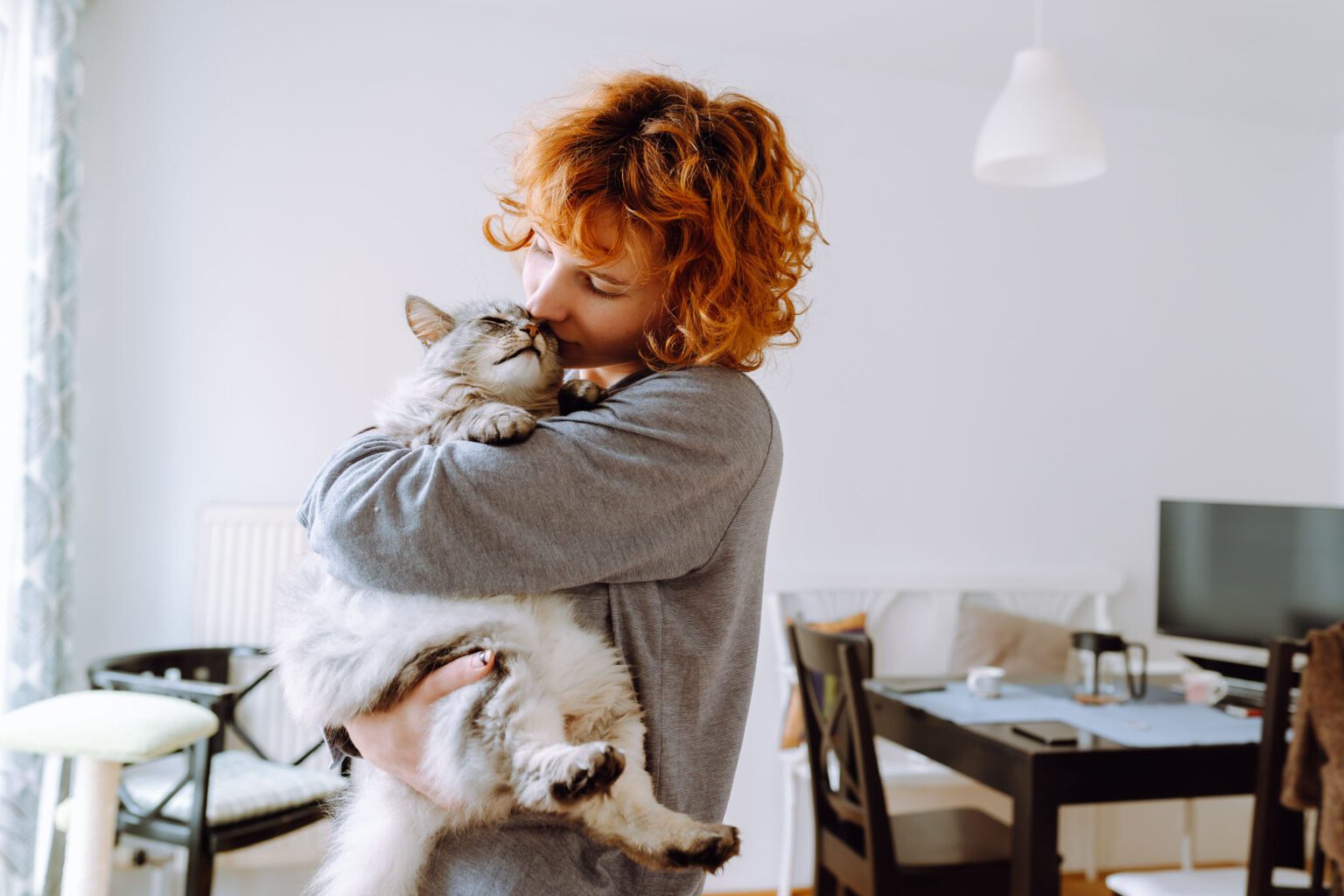 Fresh Look at A Cat Owner S Guide To Feline Leukemia And Fiv